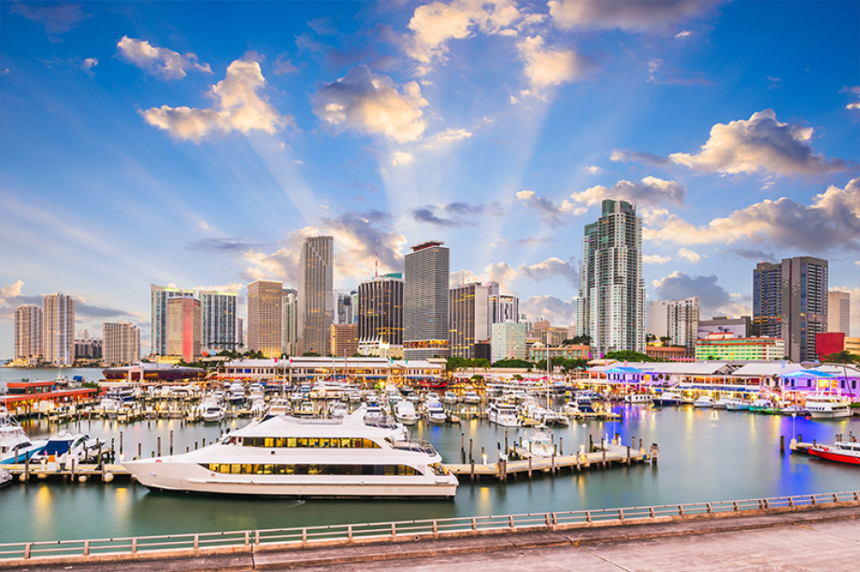 boats in a marina